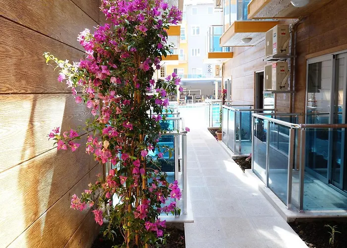 فندق Arsi Enfi 4*