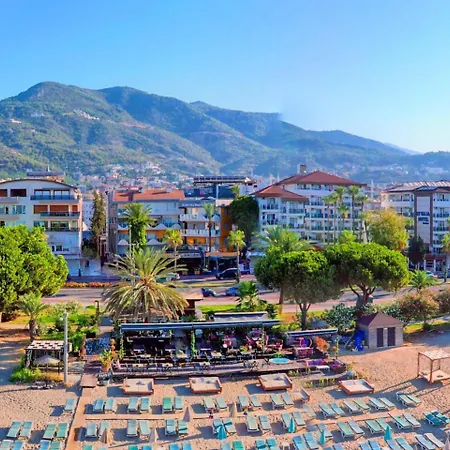 Arsi Enfi Alanya